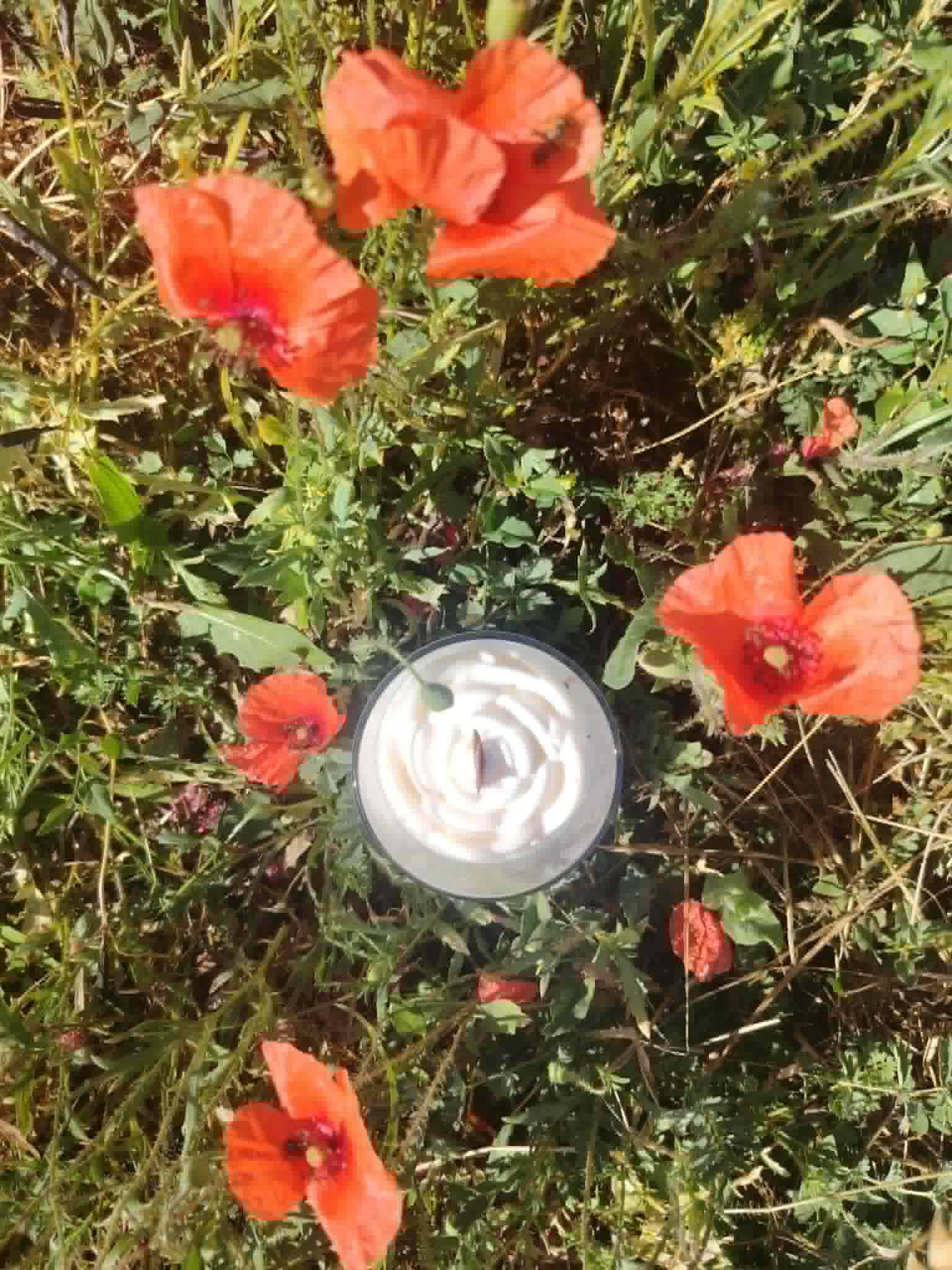 Bohemian Fantasy - Coquelicot – Image 6